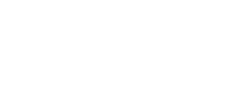 NetBridge