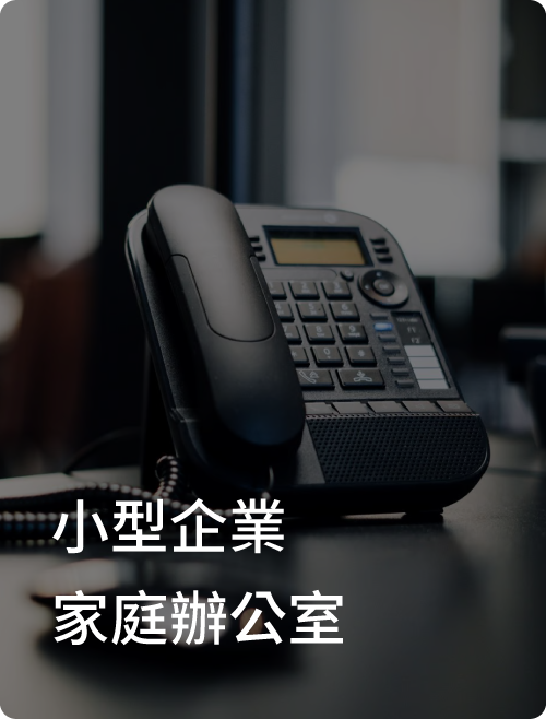 Peplink MAX BR1 Mini (HW3)-小型企業/企業辦公室