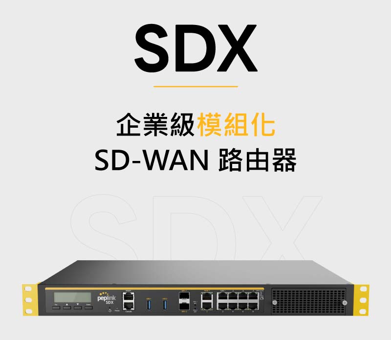 Peplink SDX