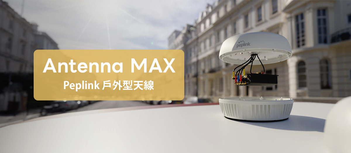 Peplink Antenna MAX戶外型天線