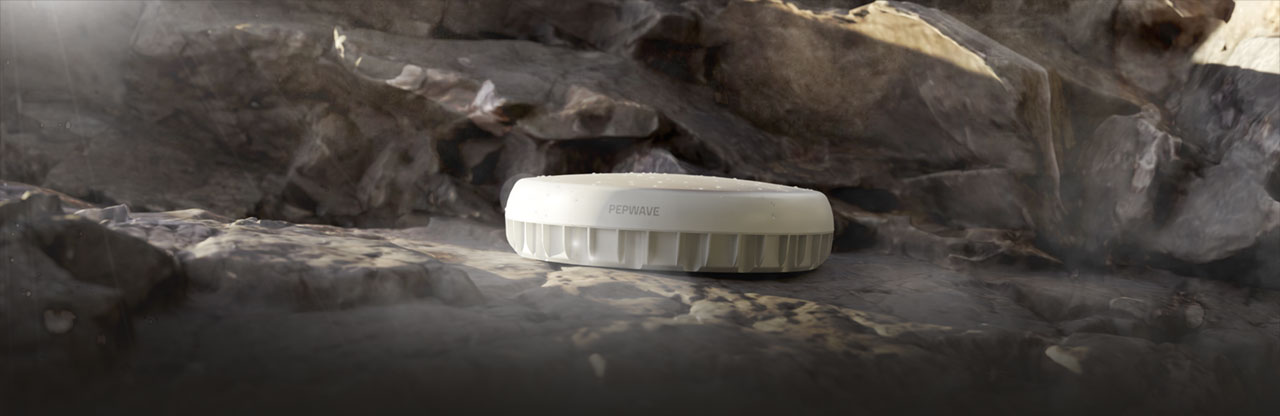 Peplink Antenna MAX Duo — 工業雙 5G 戶外高增益天線